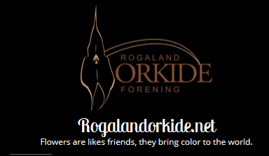 ROGALAND ORKIDEFORENING
